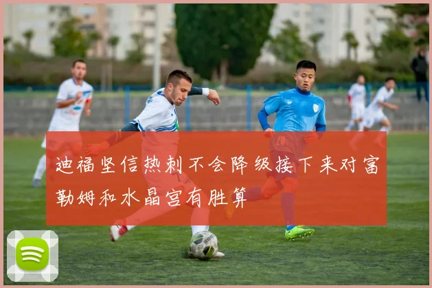 迪福坚信热刺不会降级接下来对富勒姆和水晶宫有胜算