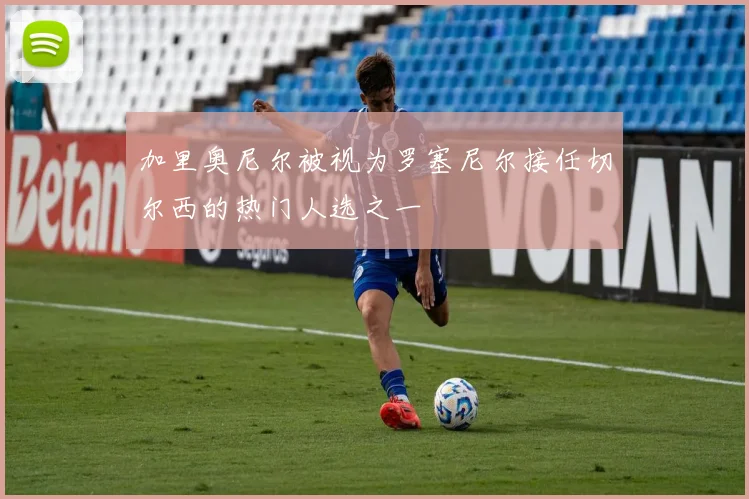 加里奥尼尔被视为罗塞尼尔接任切尔西的热门人选之一