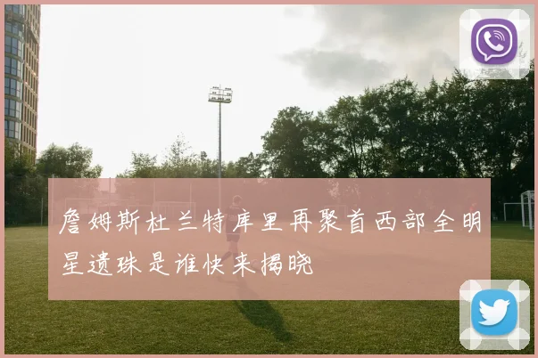 詹姆斯杜兰特库里再聚首西部全明星遗珠是谁快来揭晓