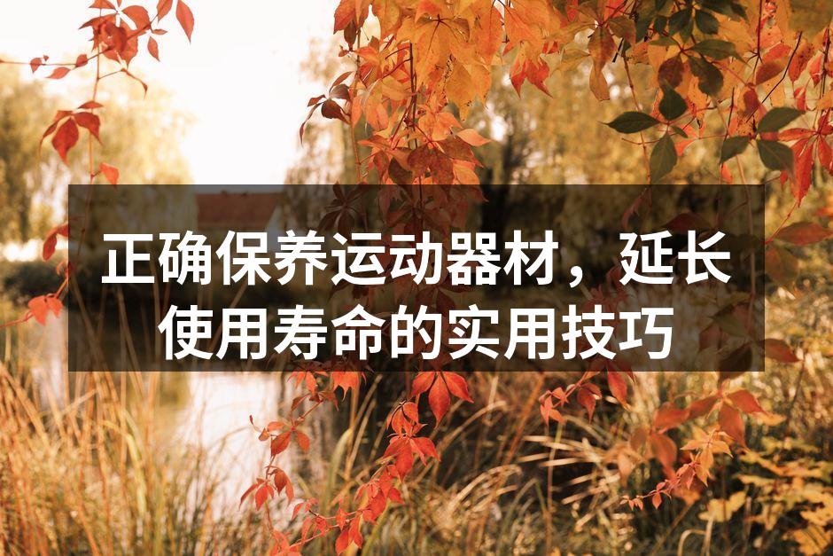 定期清洁运动器材,延长使用寿命