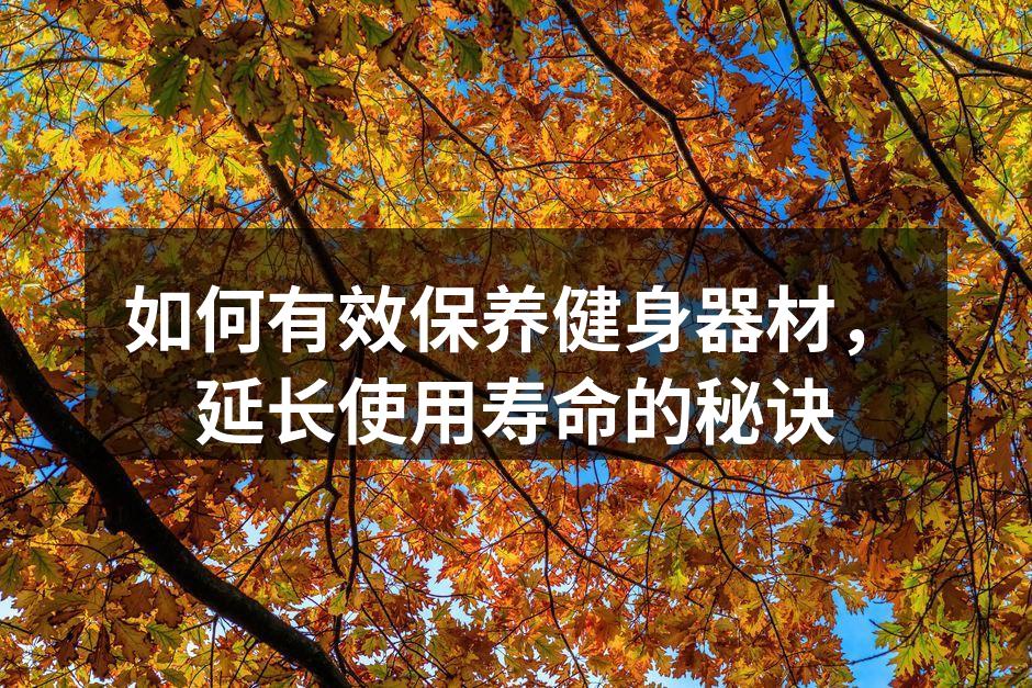 定期清洁健身器材,延长使用寿命