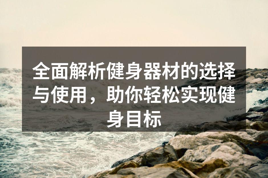 多款健身器材整齐排列