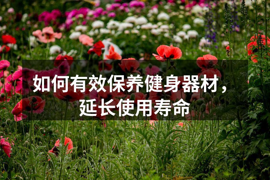 定期清洁和保养健身器材